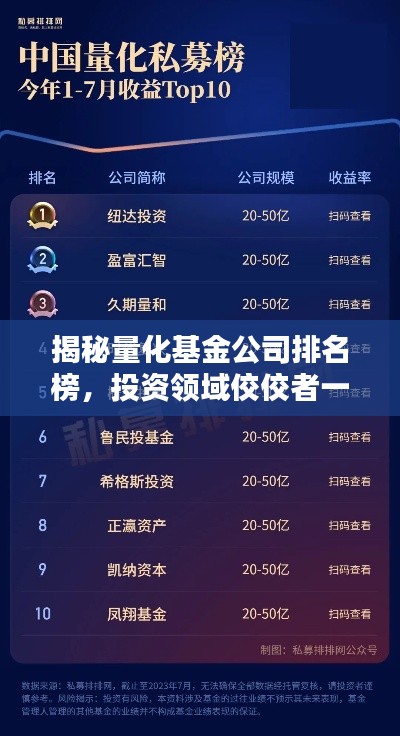 揭秘量化基金公司排名榜，投资领域佼佼者一览无余
