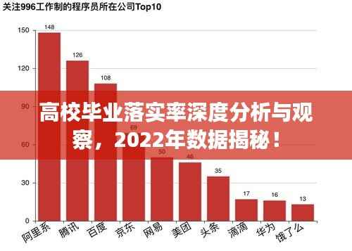 高校毕业落实率深度分析与观察，2022年数据揭秘！