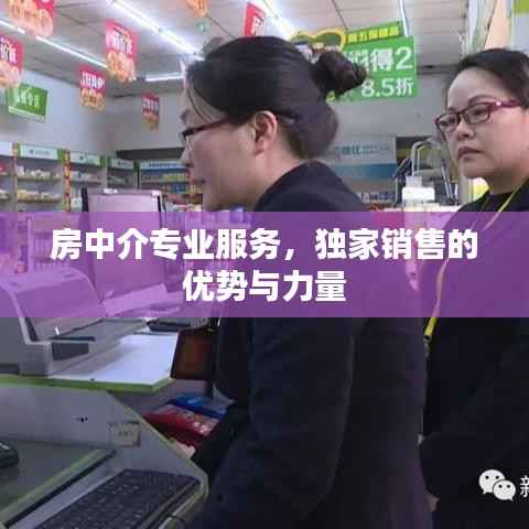 草率从事 第3页