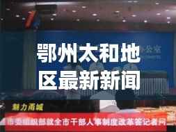 鄂州太和地区最新新闻头条，关注热点事件！