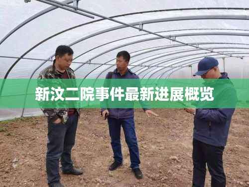 新汶二院事件最新进展概览