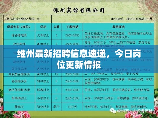 维州最新招聘信息速递，今日岗位更新情报