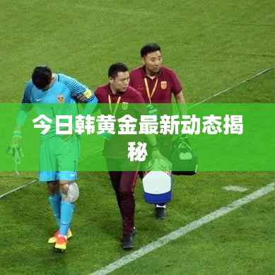 今日韩黄金最新动态揭秘